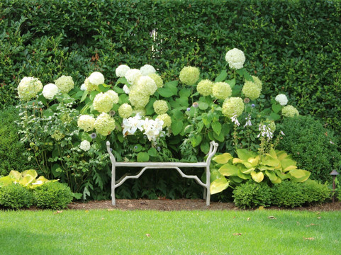 Ara's Tours-楠塔基特必去景点