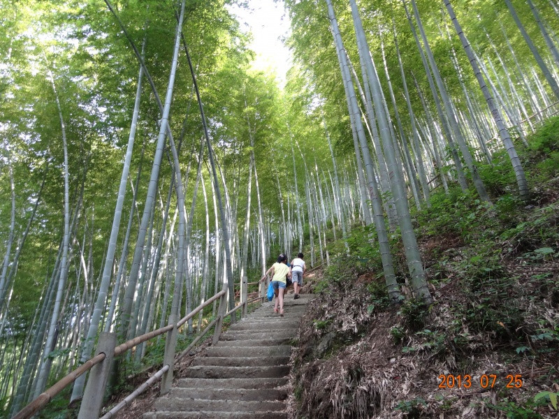 黄山竹海木坑-黟县必去景点