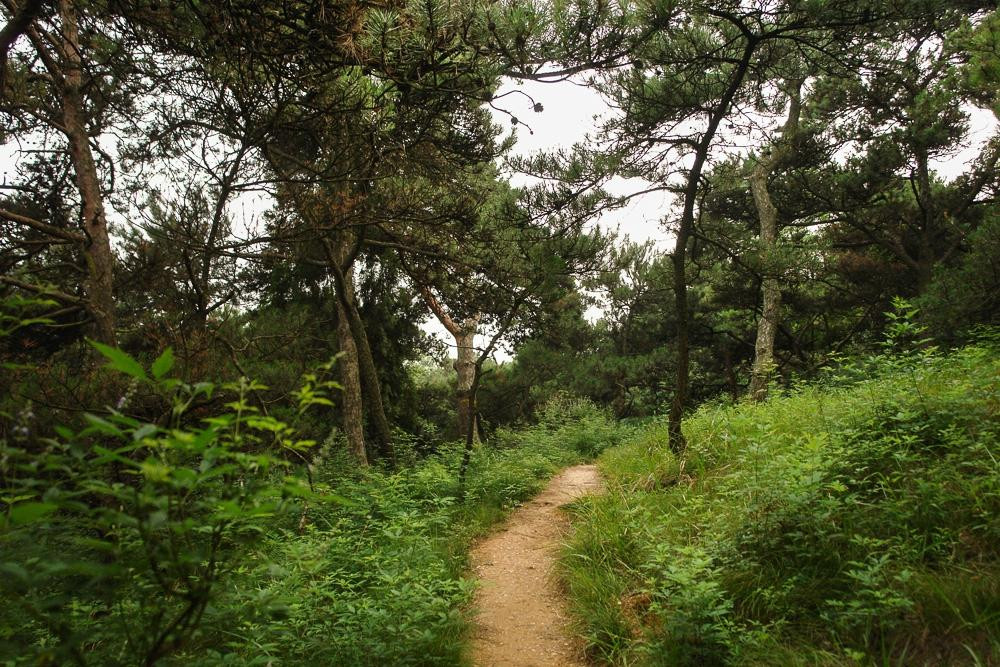 联峰山公园-秦皇岛市必去景点