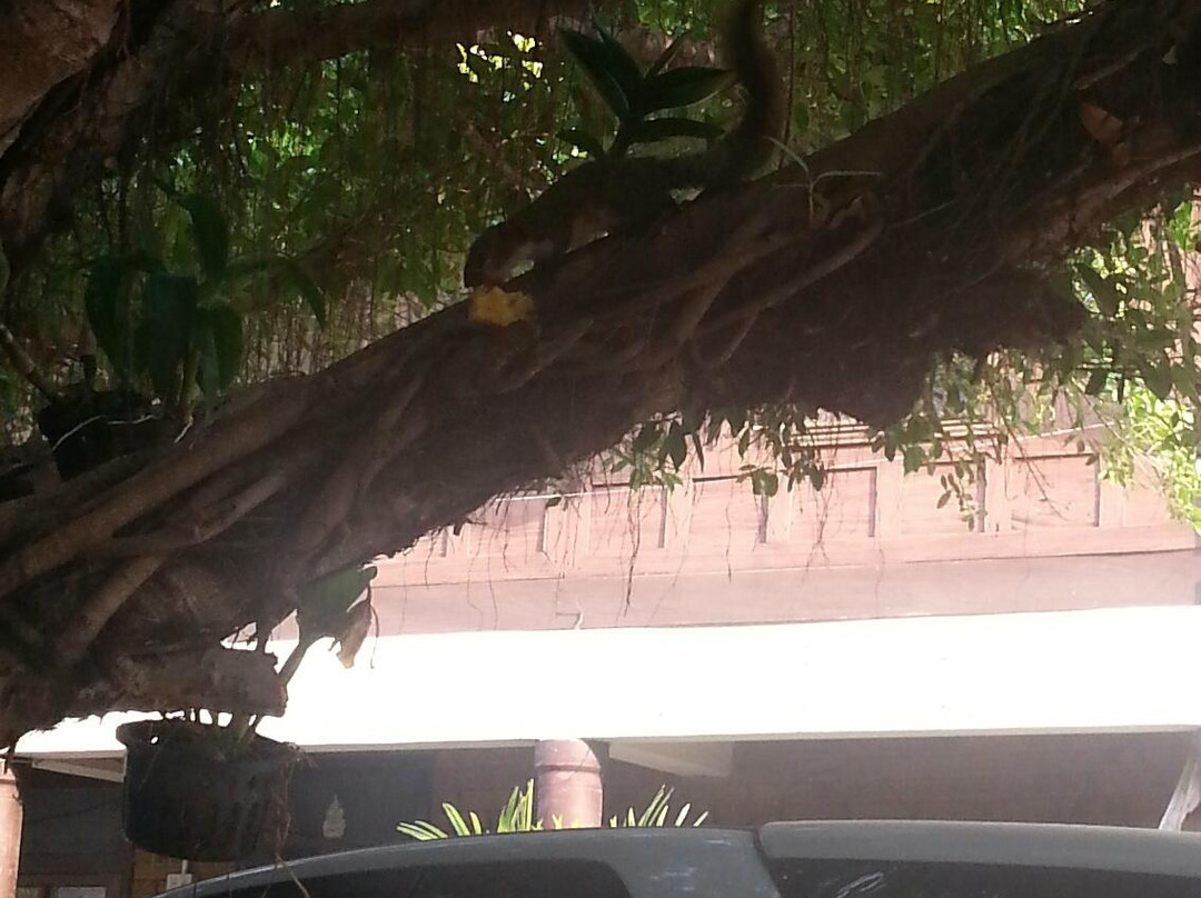 班夏娃宾馆主图