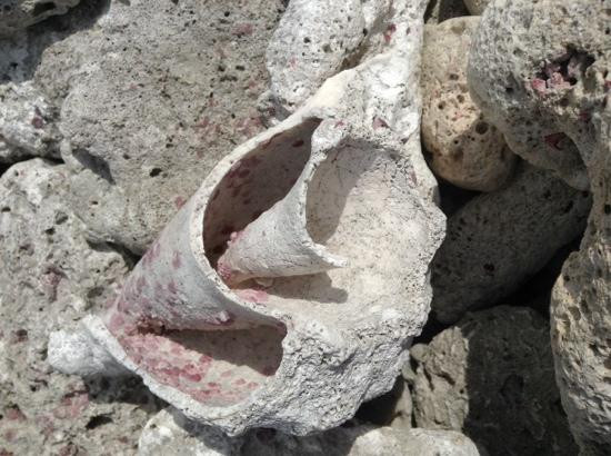 West End Point Outlook-Cayman Brac必去景点