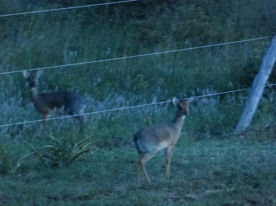 Maanzoni Sanctuary-Machakos必去景点