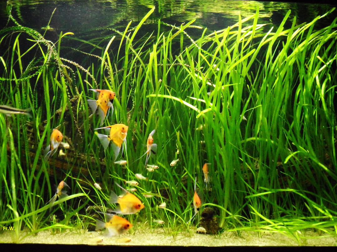 Aqua Expo景点图片