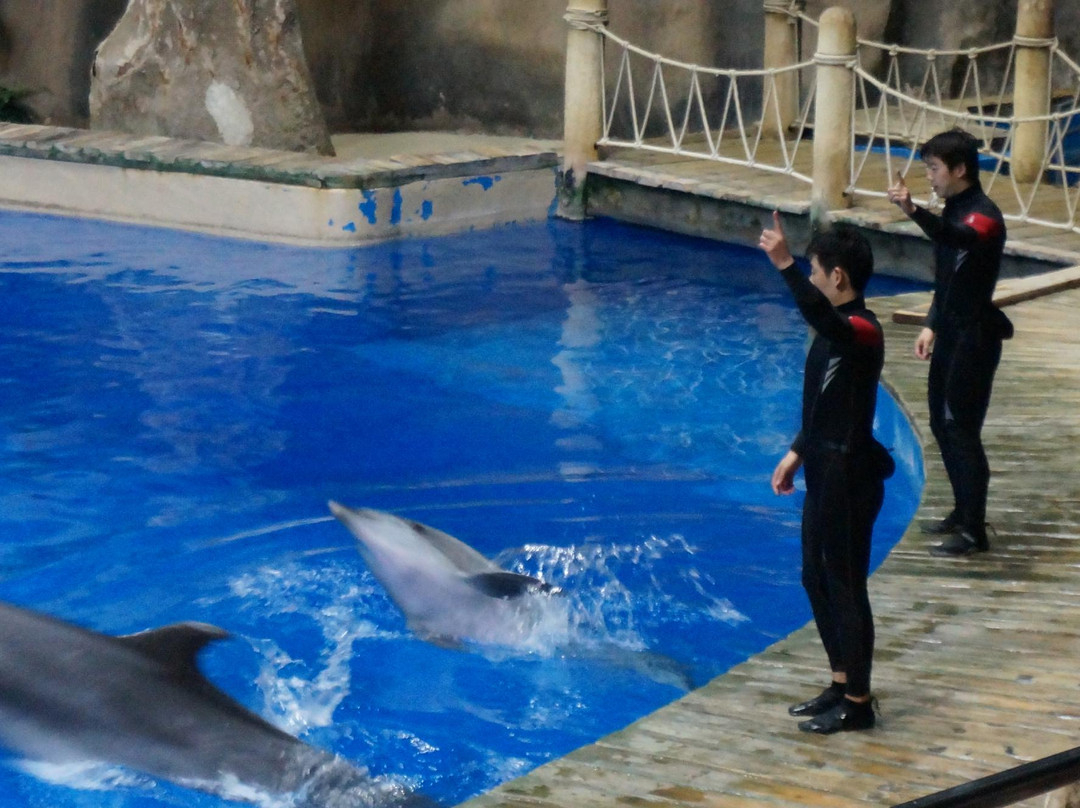 北京海洋馆-北京市必去景点