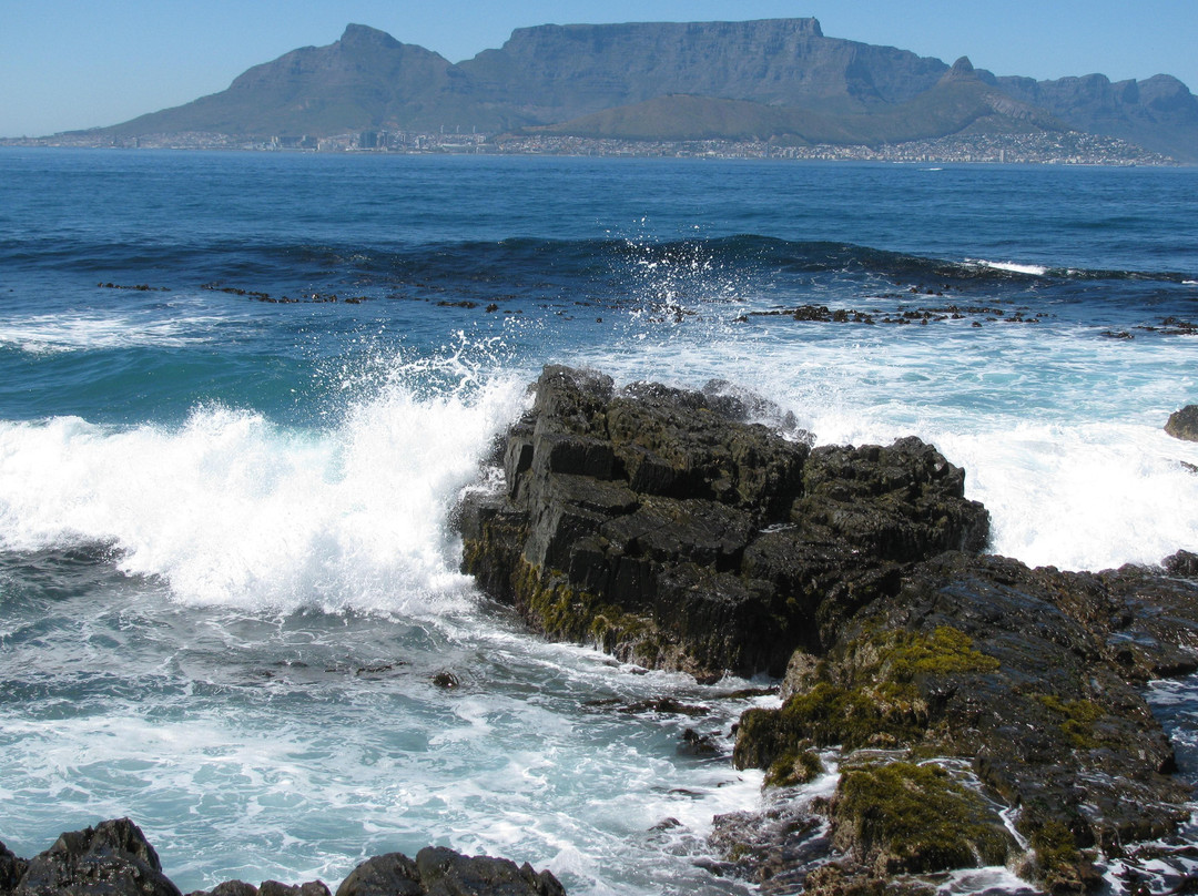 罗本岛-开普敦中心区必去景点