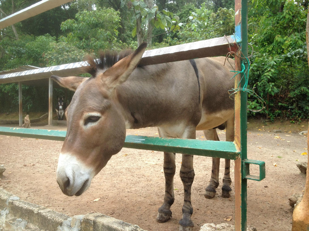PD Ostrich Show Farm-波德申必去景点
