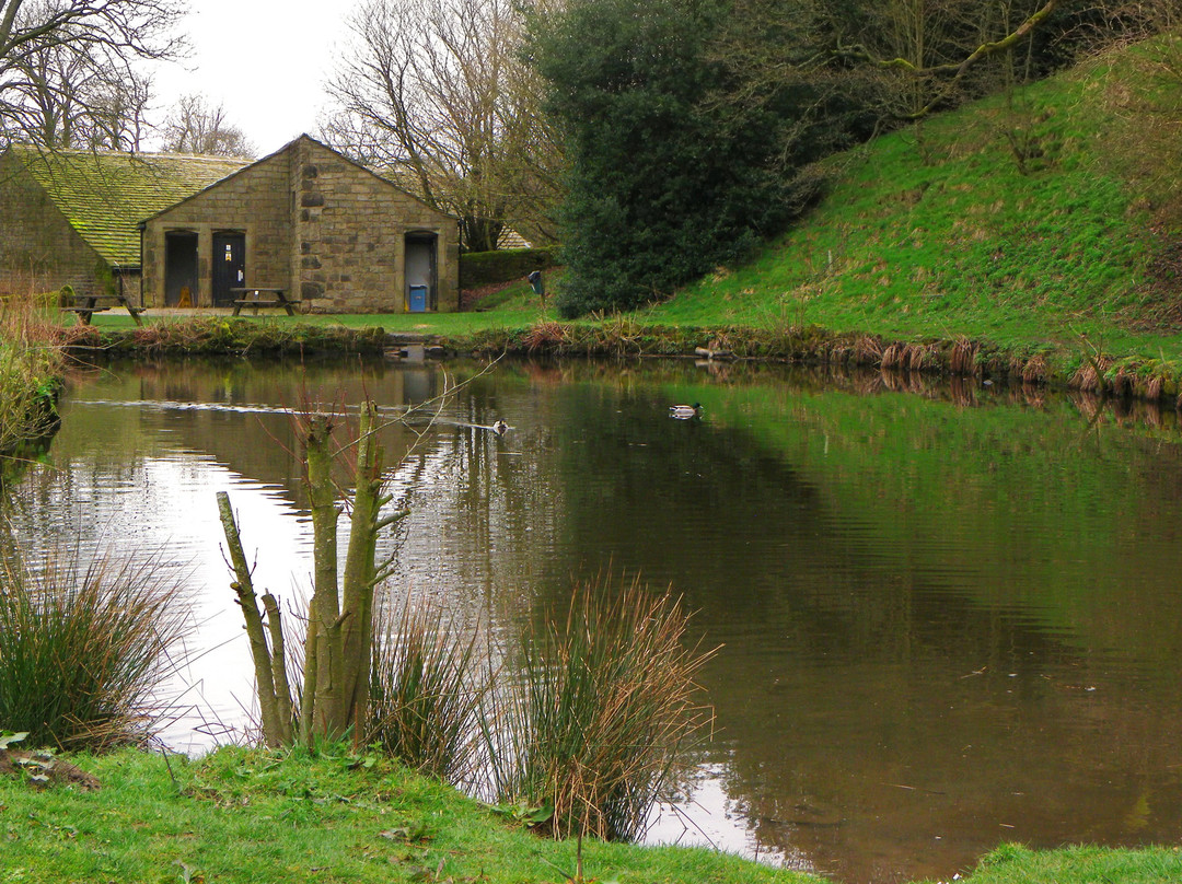Wycoller Country Park景点图片