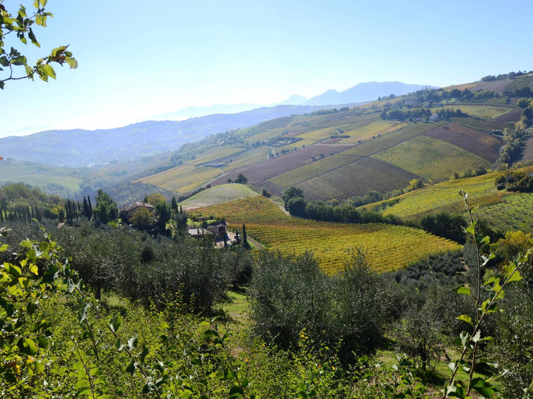 Azienda Agricola Biologica Fiorano