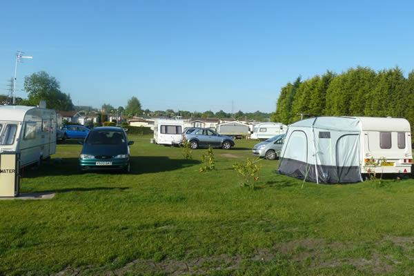 Tall Trees Touring Park