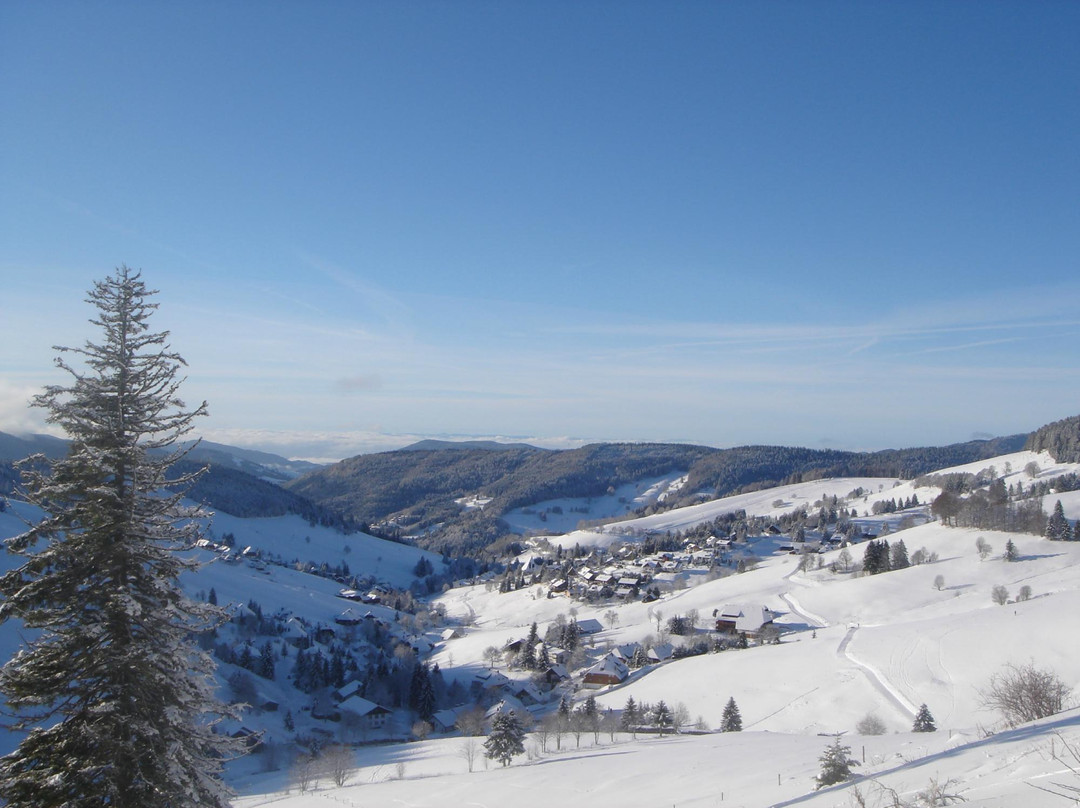 Pension Enzian主图