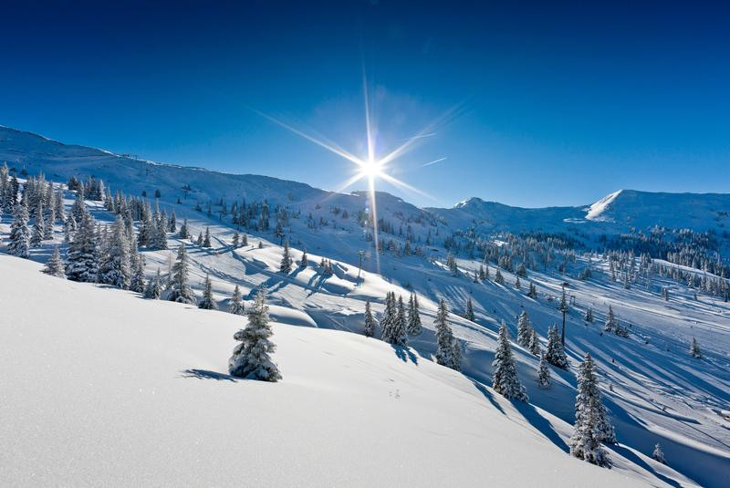 Ski Planneralm景点图片