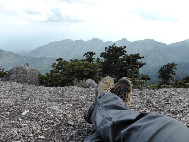 Yakushima Experience - Private Tour-屋久岛町必去景点