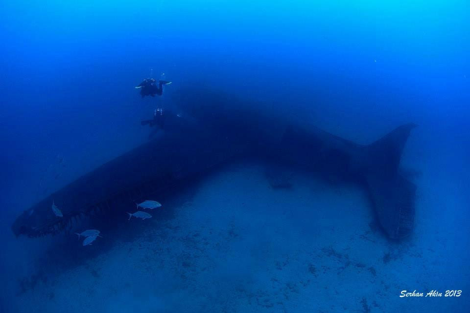 Kurbaga Adam Dalis Merkezi-伊斯坦布尔必去景点