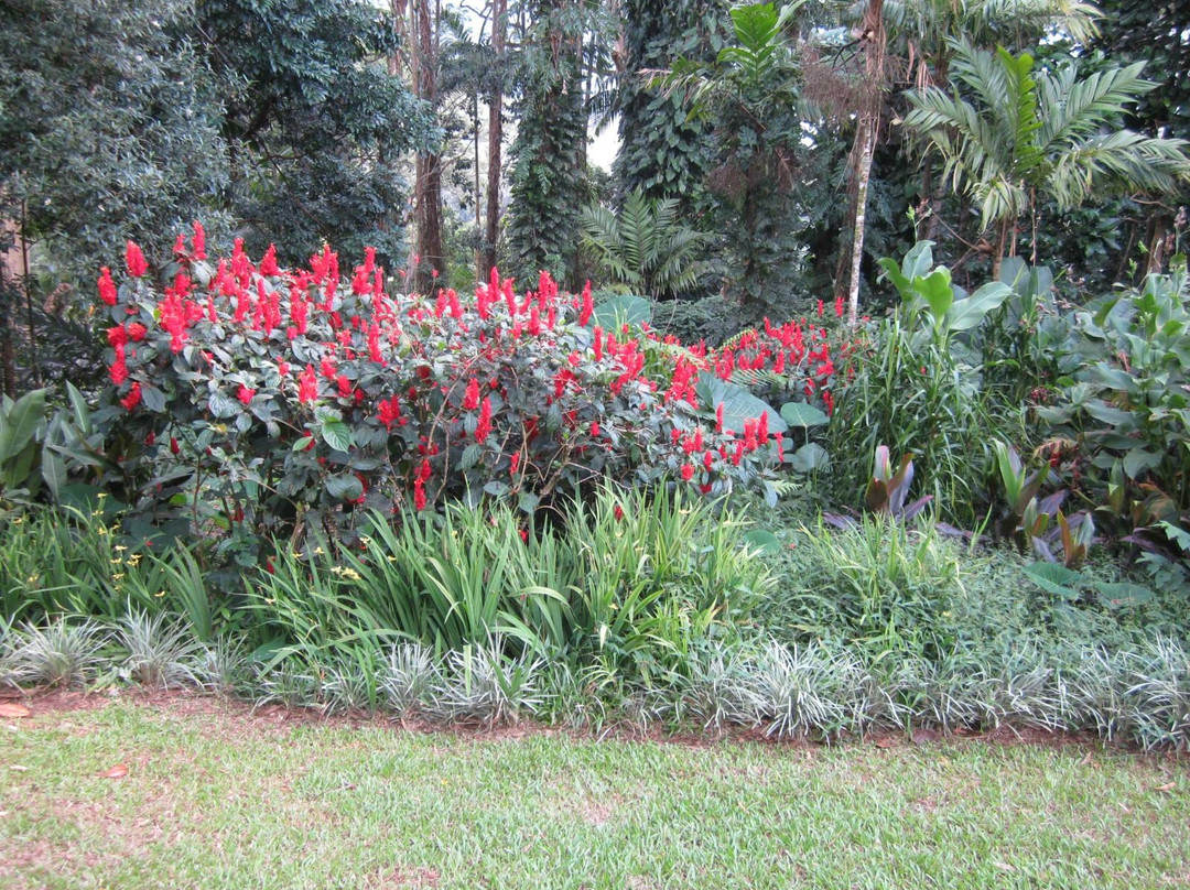 哈罗德树木园-火奴鲁鲁必去景点
