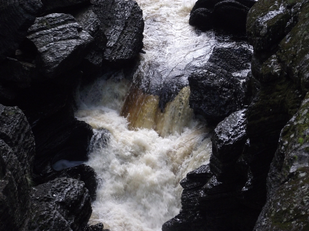 Leven Canyon-Ulverstone必去景点