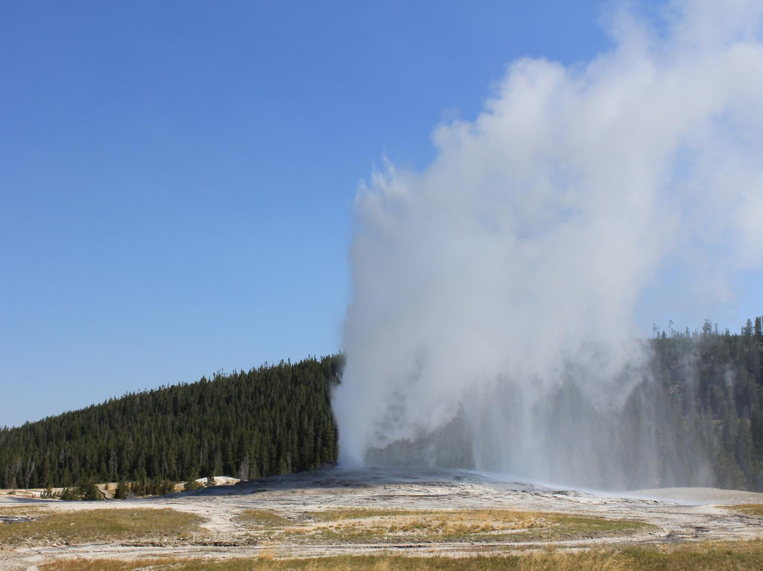 老忠泉-黄石国家公园必去景点