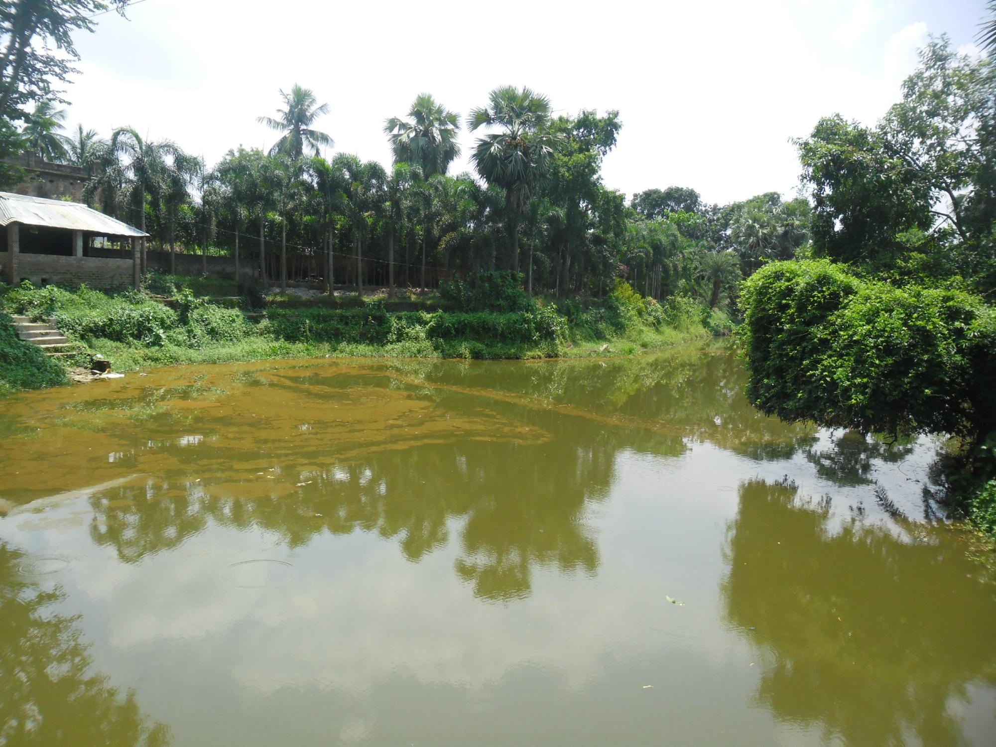 Sabujban Resort-客卧