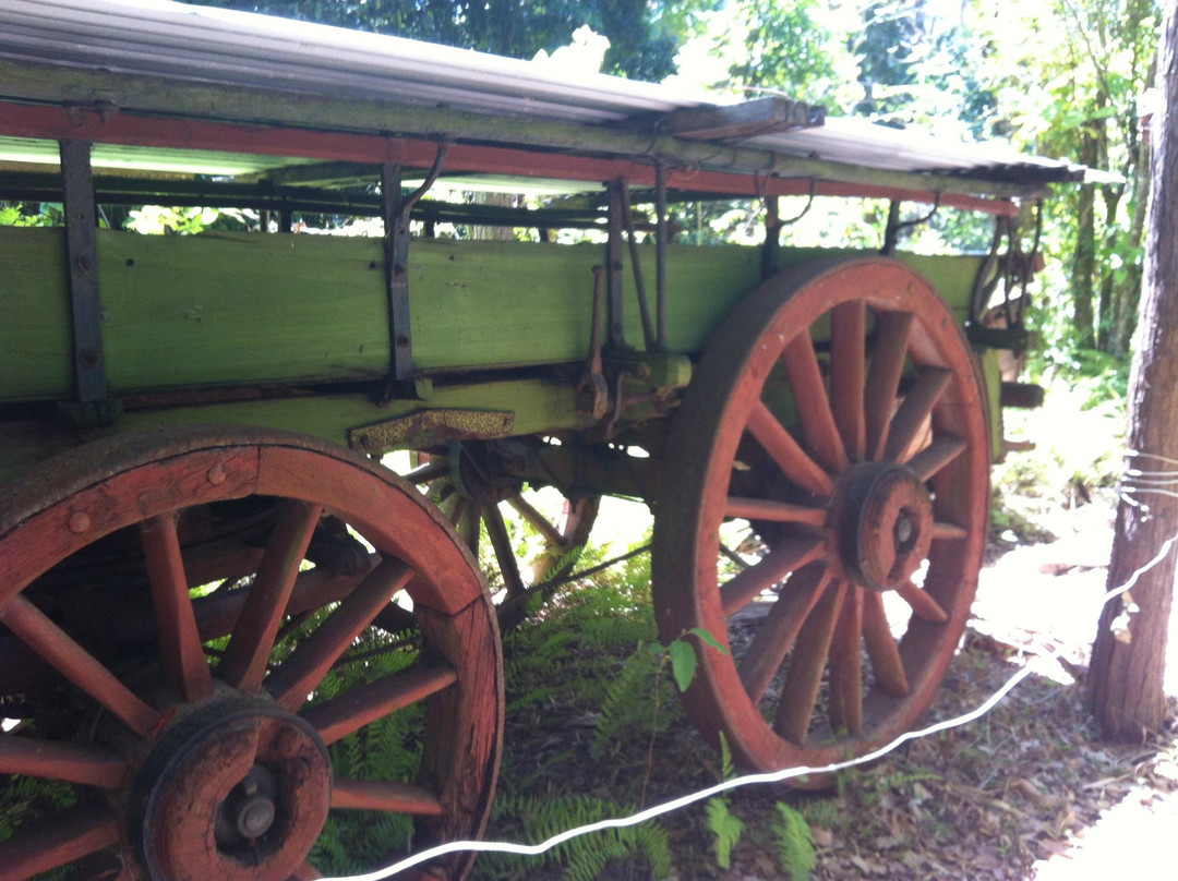 Nob Creek Pottery-Byfield必去景点