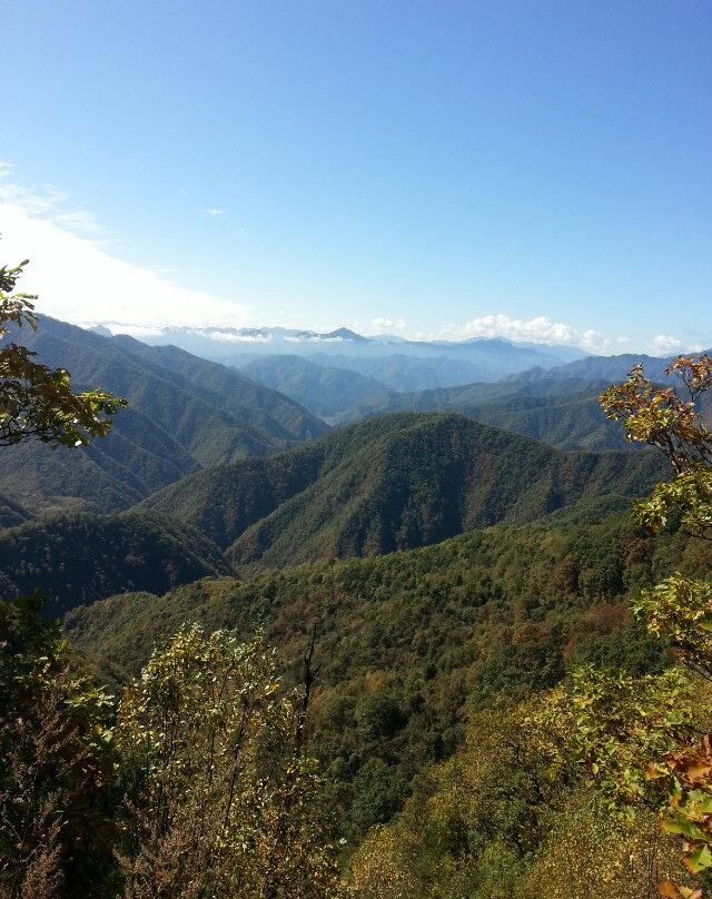 秦岭-佛坪县必去景点