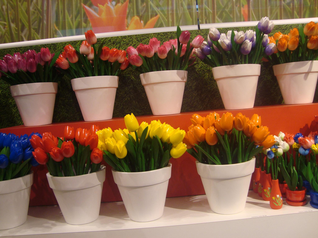 阿姆斯特丹郁金香博物馆-阿姆斯特丹必去景点