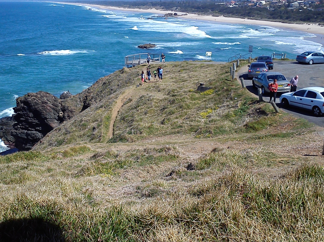 Tacking Point Lighthouse-麦克夸利港必去景点