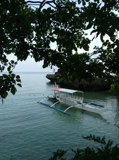 卡莫提斯飞鱼度假村主图