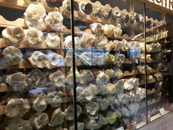 Gallery 4