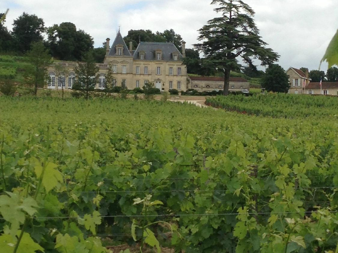 Chateau Fonplegade景点图片