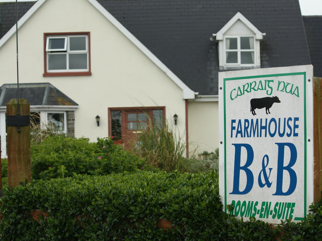 Carraig Nua Farmhouse B&B主图