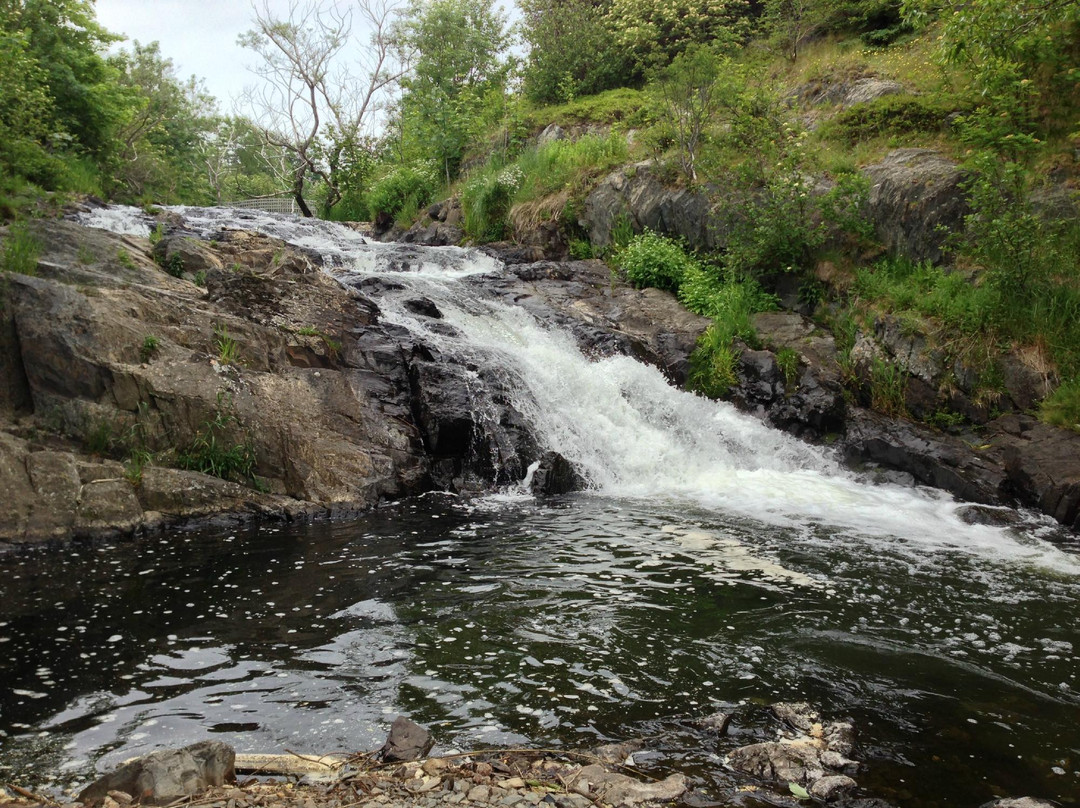 Rennie's River Trail景点图片