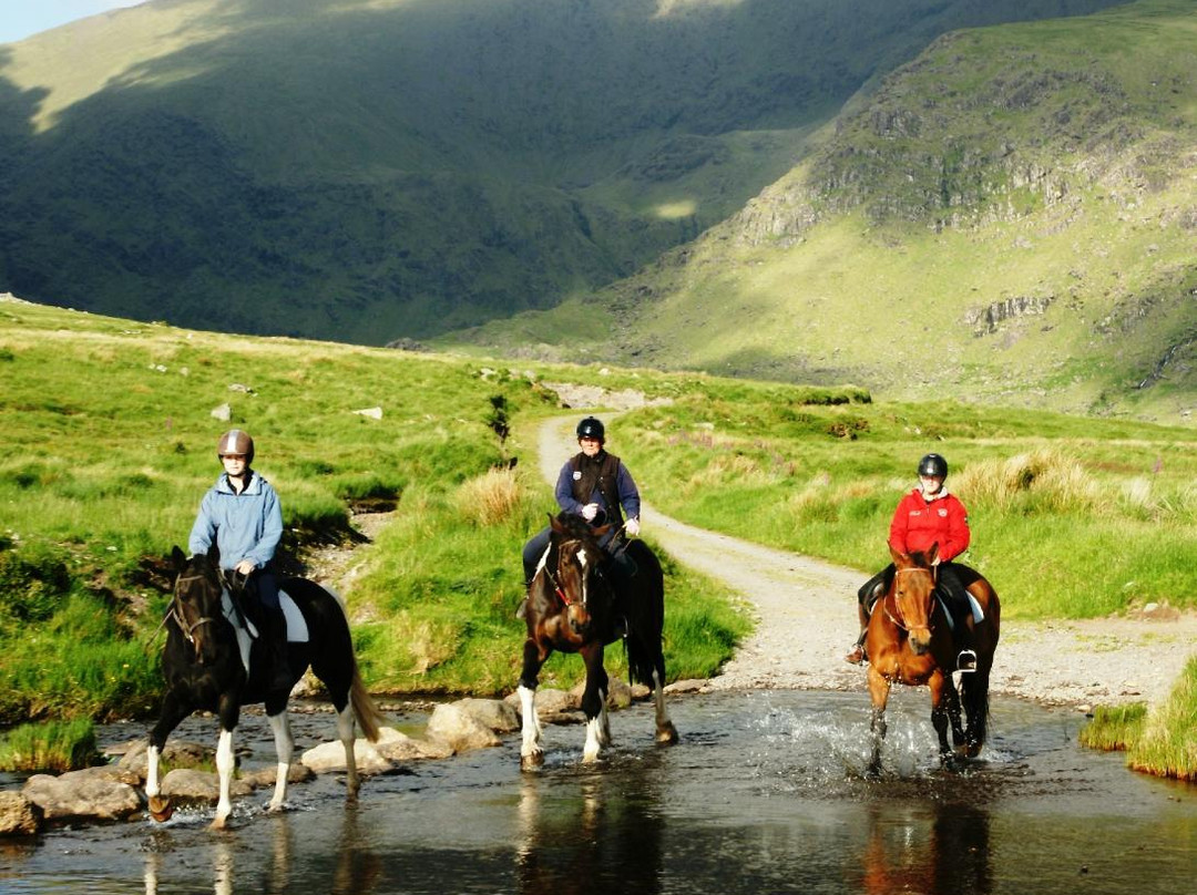 Sea View Equestrian-Ballydavid必去景点