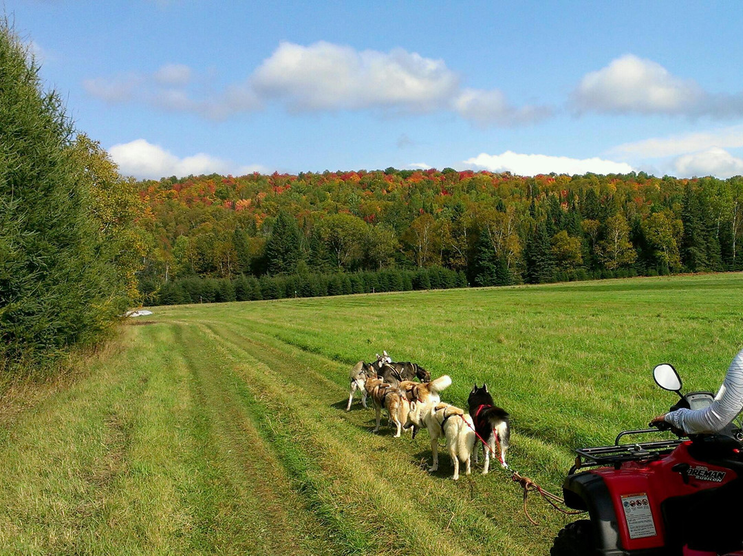 Four Seasons Adventure-Labelle必去景点