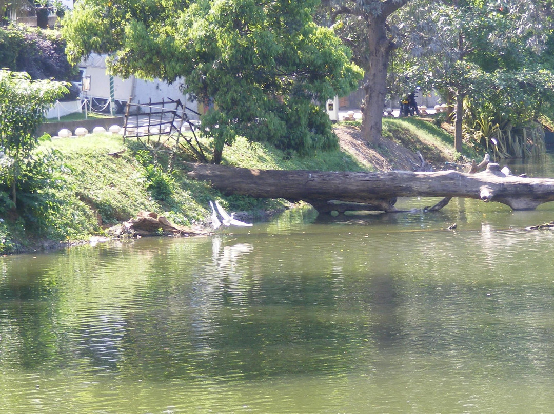 康提湖景点图片