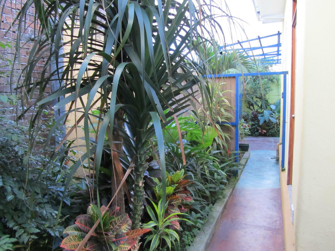 Hotel Mellow Yellow主图