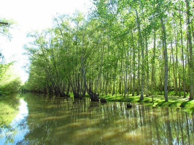 El Delta Gourmet景点图片