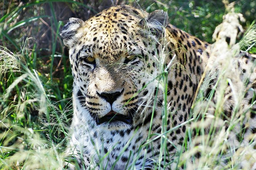 Neuras - N/a'an ku se Wine and Wildlife Estate-Maltahohe必去景点