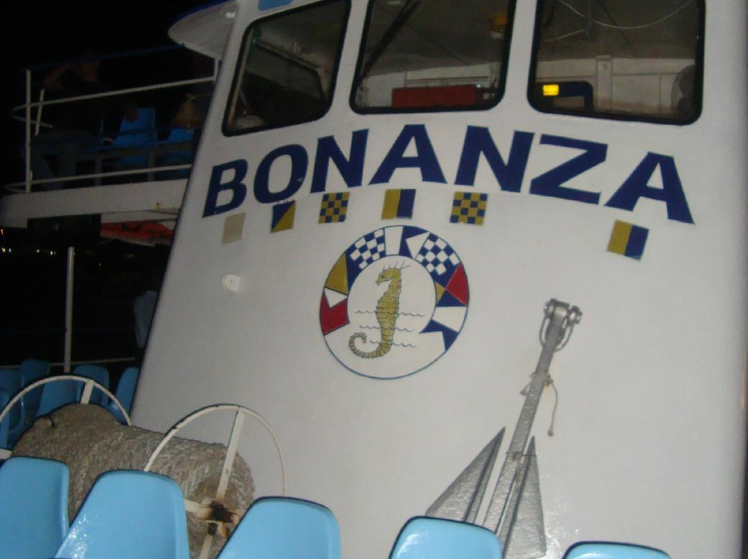 Yates Fiesta & Bonanza-阿卡普尔科必去景点