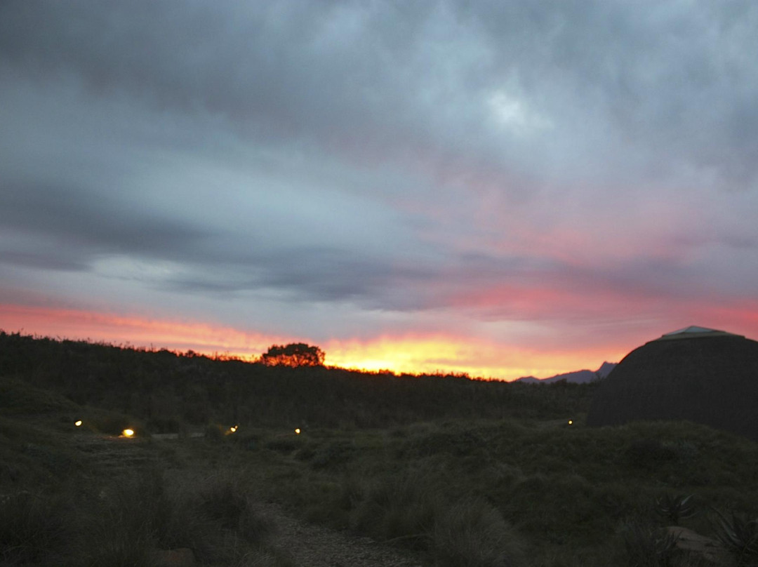 Gondwana Private Game Reserve主图