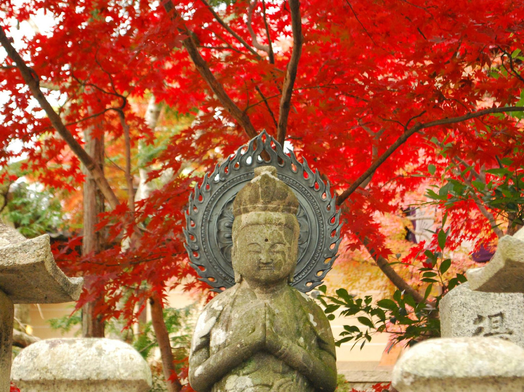 Komyoji Temple-长冈京市必去景点