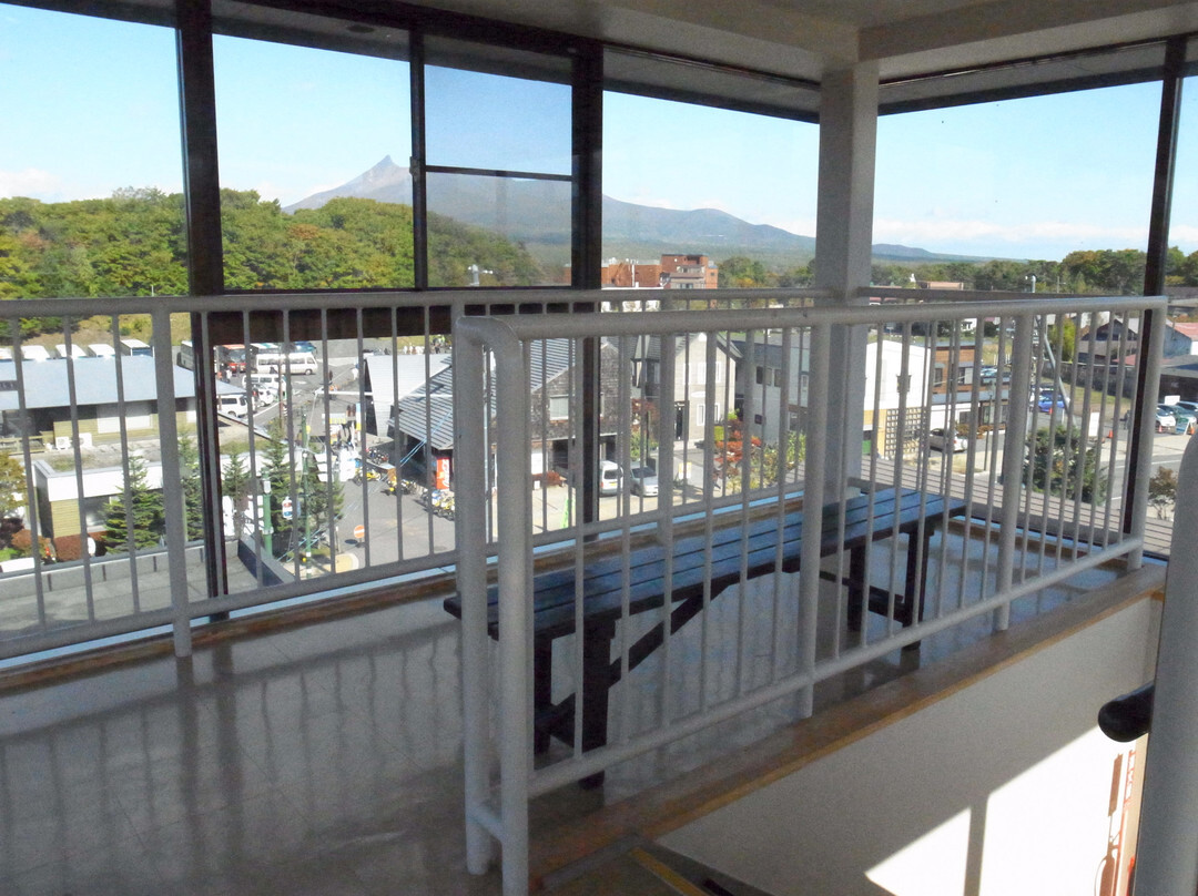 友谊熊-七饭町必去景点