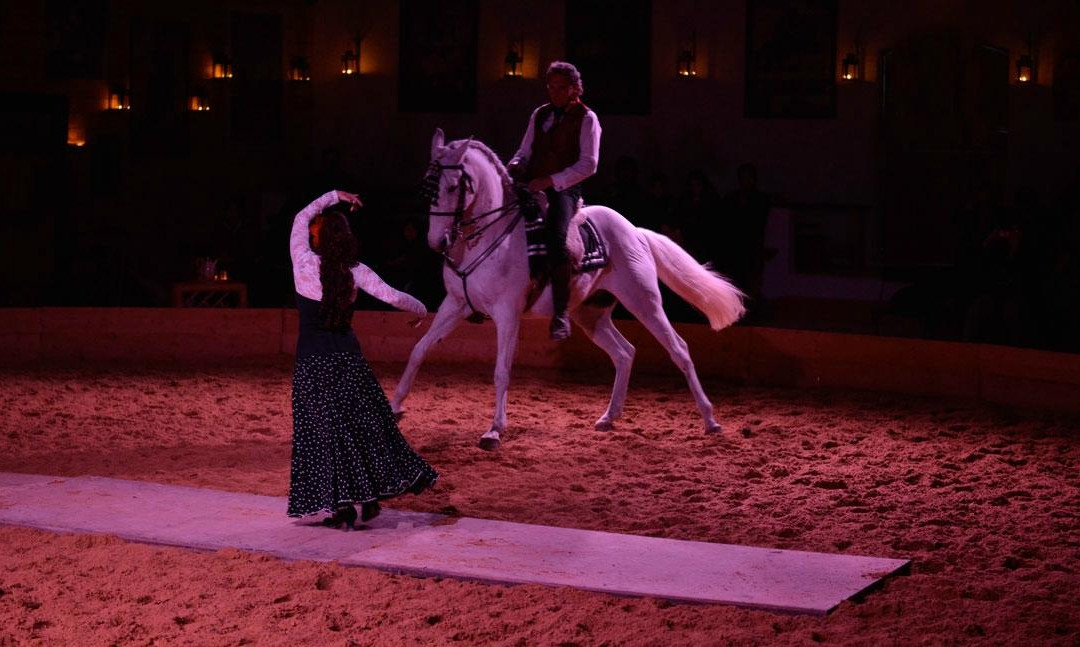 Equestrian Theater Camarkas-滨海圣玛丽必去景点