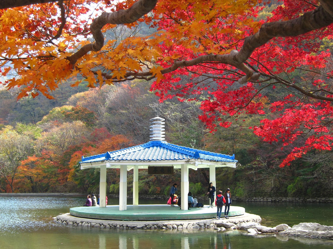 Naejangsan National Park-淳昌郡必去景点