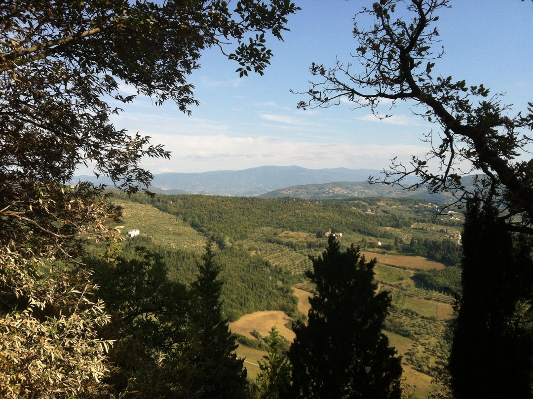 Tree Experience - Parco Avventura Vincigliata景点图片