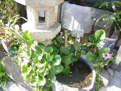 新Yorishiro酒店-官方