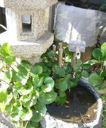 新Yorishiro酒店酒店图片