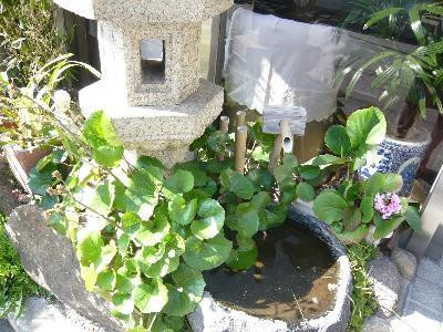 新Yorishiro酒店主图
