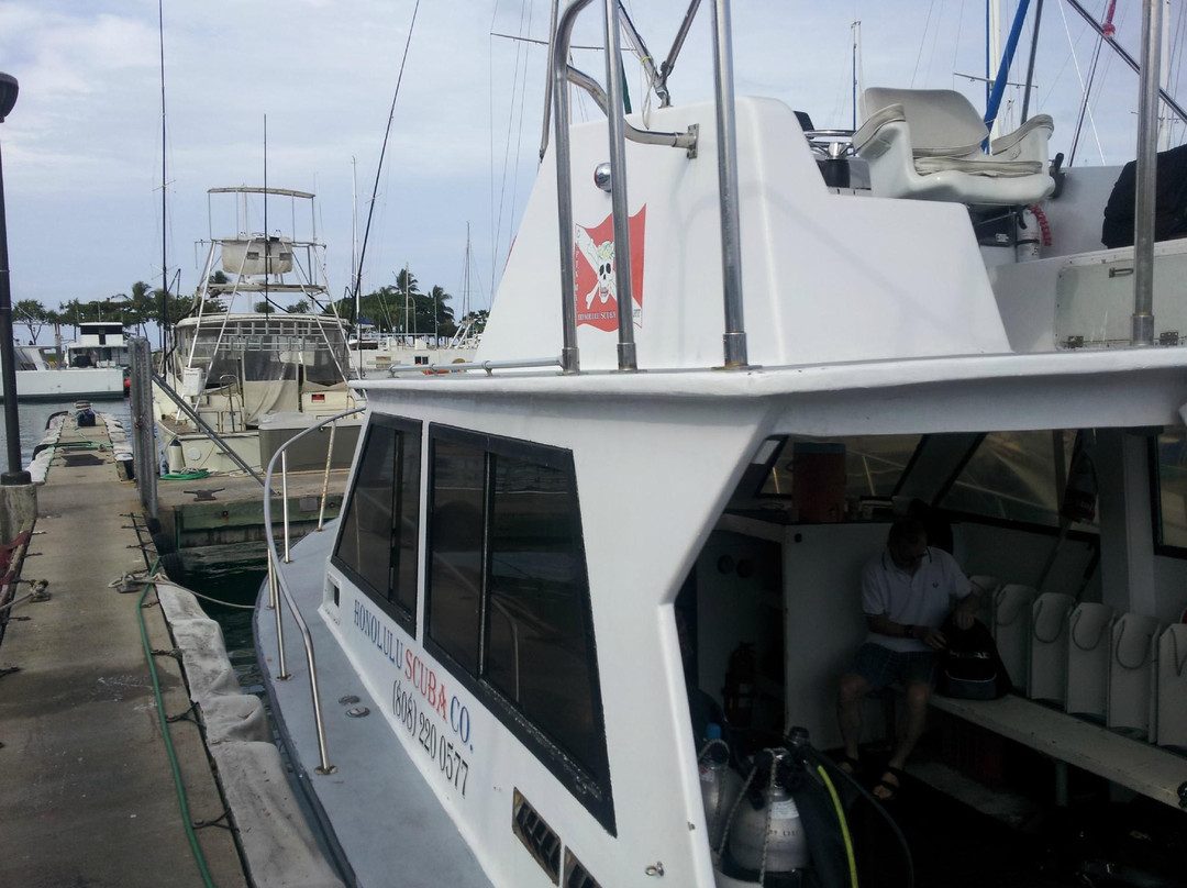 Honolulu Scuba Company-火奴鲁鲁必去景点