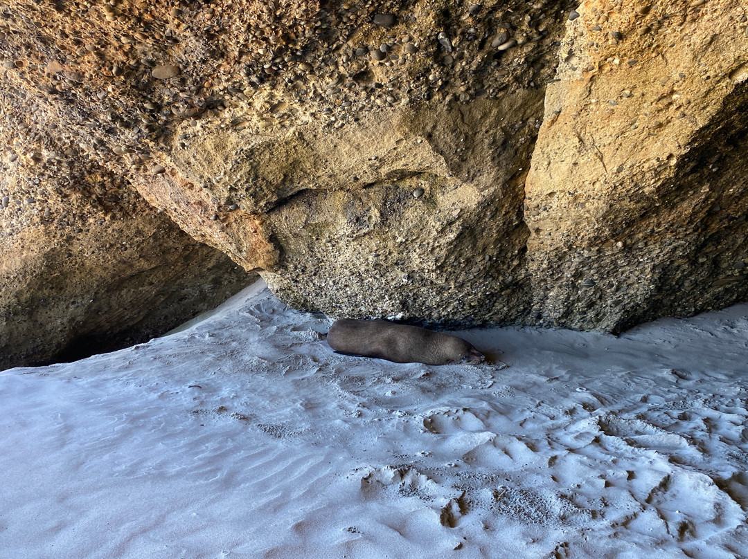 Wharariki Beach景点图片