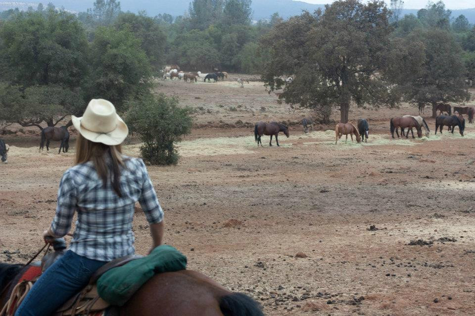 Wild Horse Sanctuary景点图片