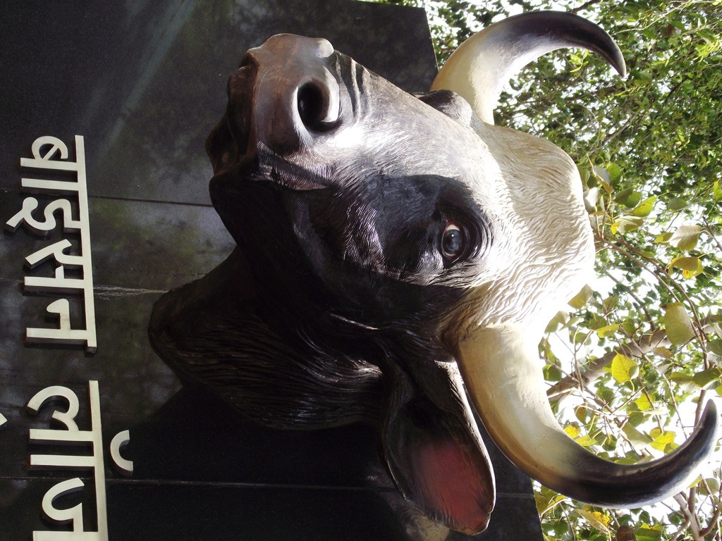 Bison Lodge Museum景点图片
